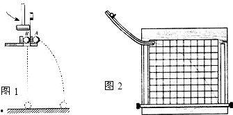 自由落体运动实验视频,揭秘重力加速度的奥秘