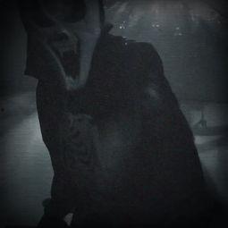 短鬼视频,揭秘神秘短鬼世界的奇幻之旅