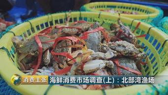 卖海鲜视频,视频带你领略海洋美味瞬间