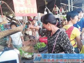 罗凤村视频